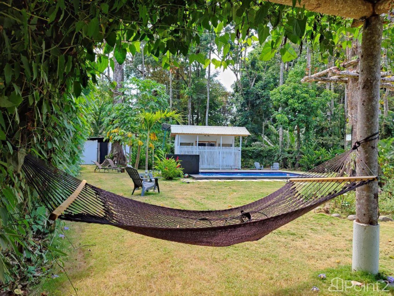 Olivia Del Caribe Suite Puerto Viejo de Talamanca Bagian luar foto