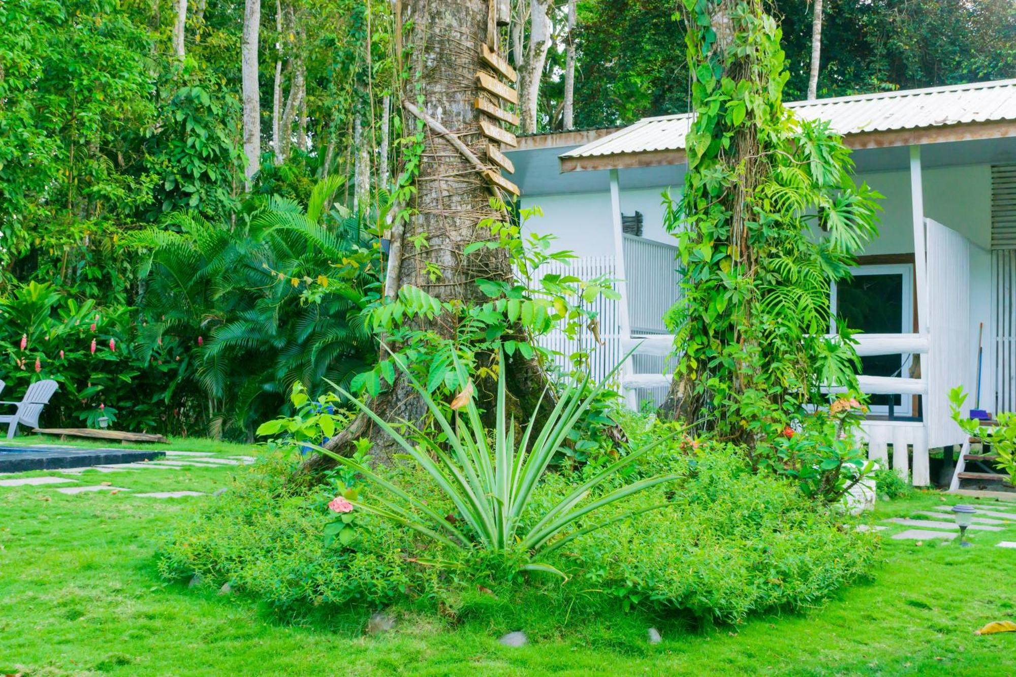 Olivia Del Caribe Suite Puerto Viejo de Talamanca Bagian luar foto