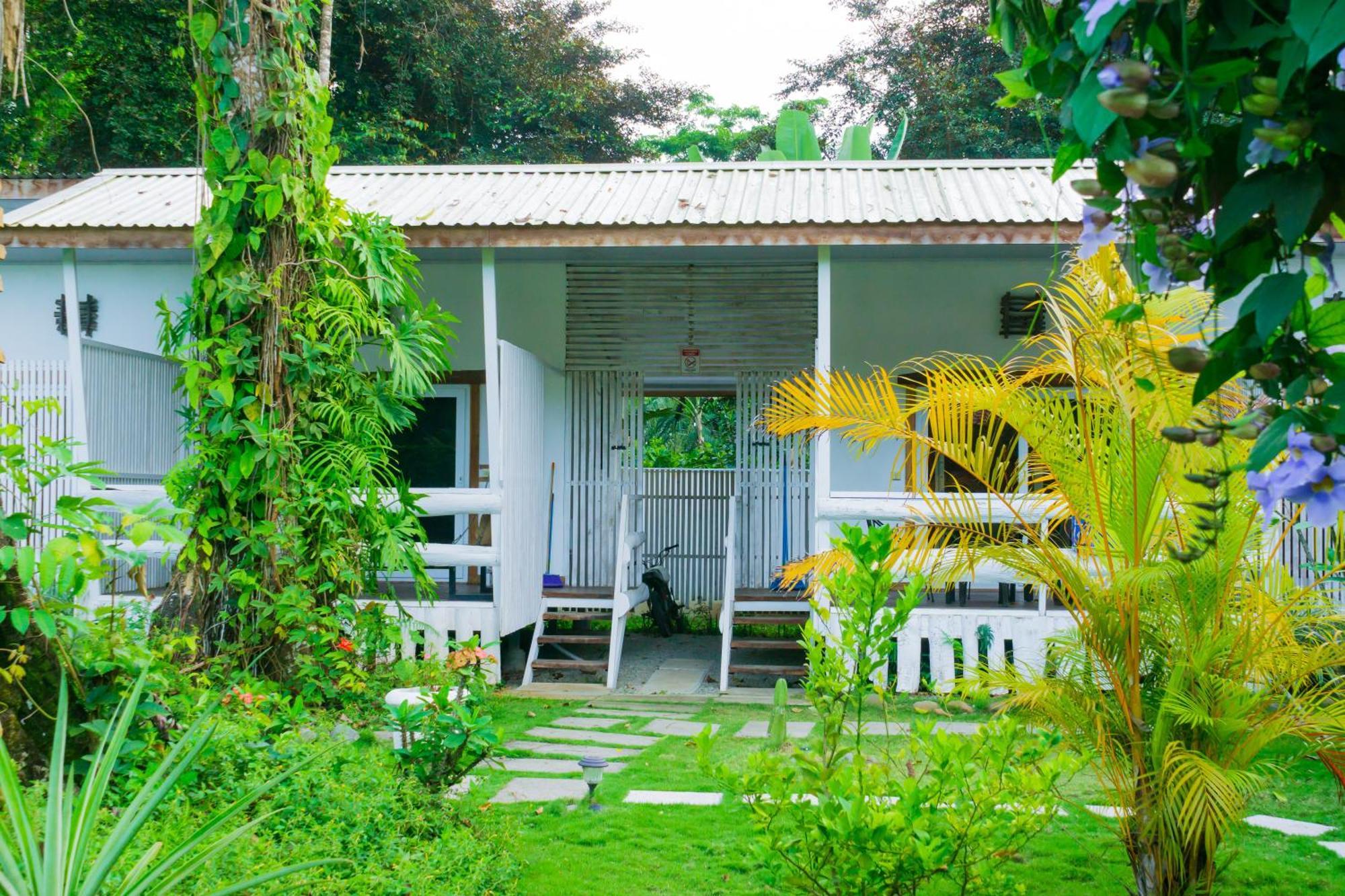 Olivia Del Caribe Suite Puerto Viejo de Talamanca Bagian luar foto