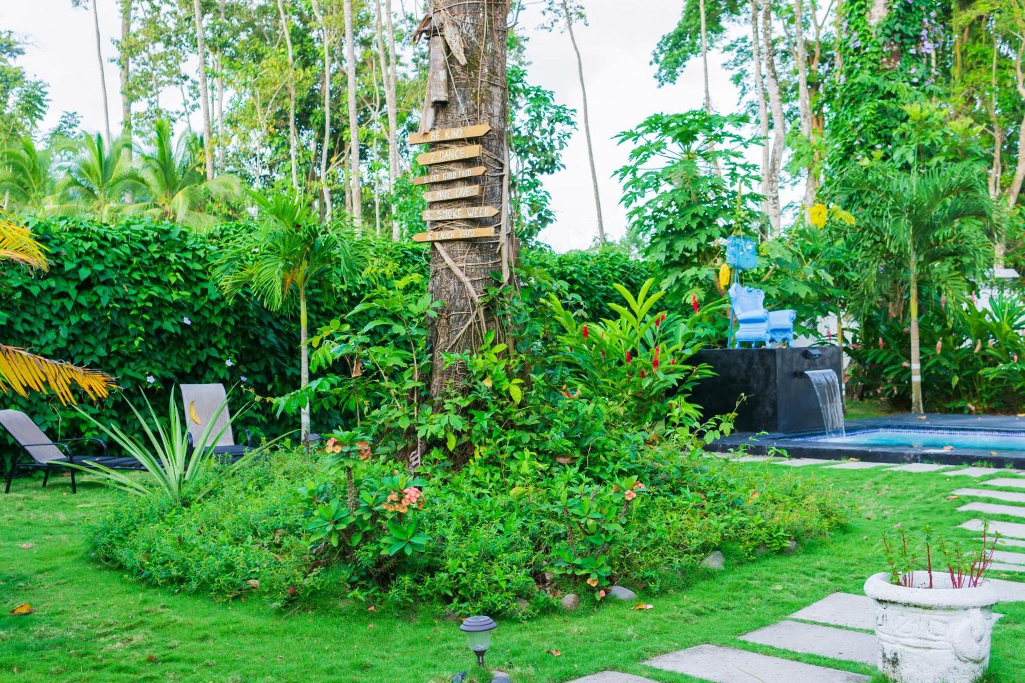 Olivia Del Caribe Suite Puerto Viejo de Talamanca Bagian luar foto