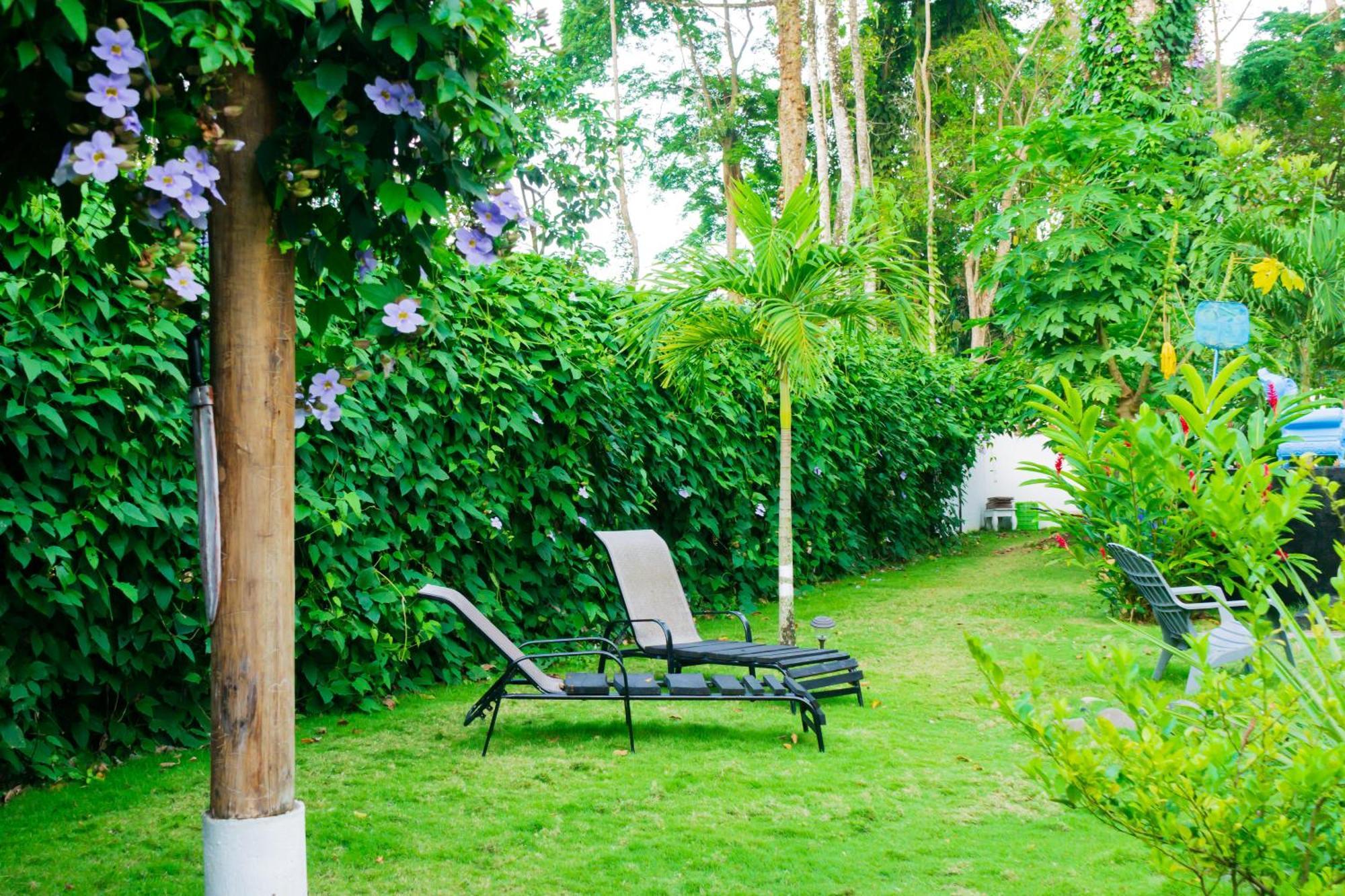 Olivia Del Caribe Suite Puerto Viejo de Talamanca Bagian luar foto
