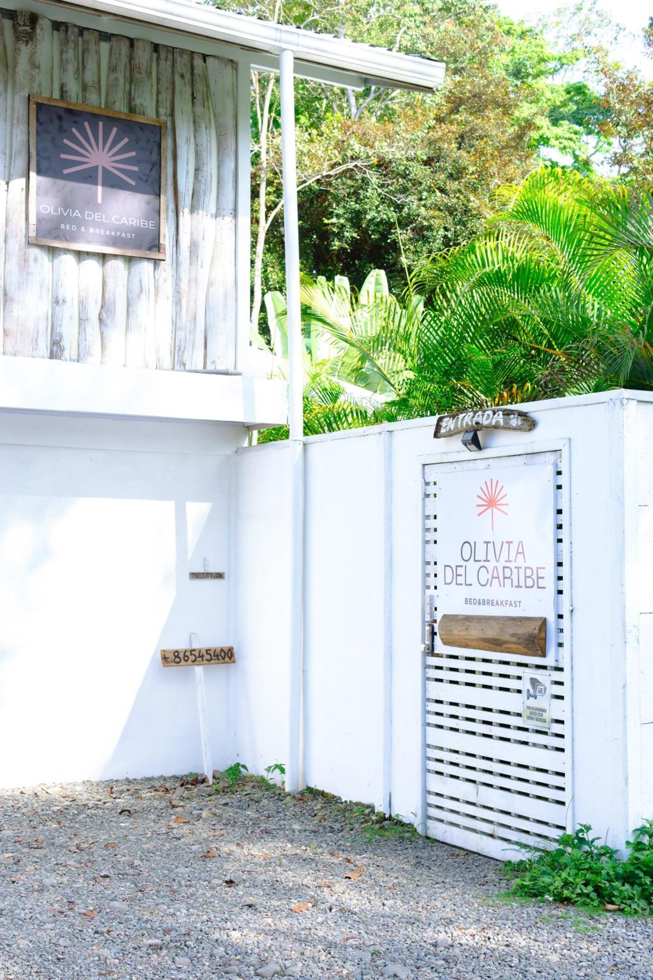 Olivia Del Caribe Suite Puerto Viejo de Talamanca Bagian luar foto