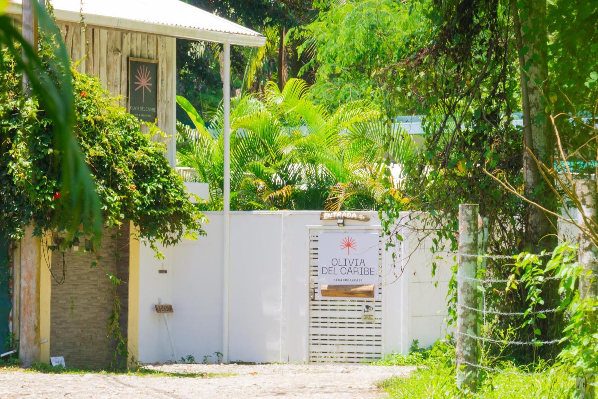Olivia Del Caribe Suite Puerto Viejo de Talamanca Bagian luar foto